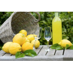 Рецепт лимончелло